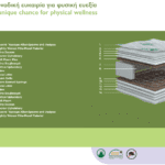 Στρώμα BIO COMFORT PLUS