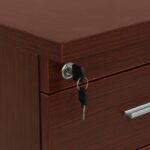 ΣΥΡΤΑΡΙΕΡΑ ΓΡΑΦΕΙΟΥ VANCE ΕΠΑΓΓΕΛΜΑΤΙΚΗ WENGE HM2049.12 40X46X75Υ εκ. - Image 6