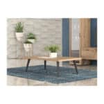 Ορθογώνιο Τραπεζάκι Σαλονιού Νο20 120x70