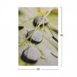 ΠΙΝΑΚΑΣ ΚΑΜΒΑΣ STONES HM7154.10 60X90X2.5 εκ. - Image 2