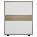 ΣΥΡΤΑΡΙΕΡΑ ΜΕΛΑΜΙΝΗΣ THORG HM8995.04- 5 ΣΥΡΤΑΡΙΑ ΣΕ SONAMA-ΛΕΥΚΟ 80Χ40Χ100Yεκ. - Image 5