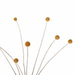 ΔΙΑΚΟΣΜΗΤΙΚΟ ΑΠΟΞΗΡΑΜΕΝΟ ΜΠΟΥΚΕΤΟ CRASPEDIA GLOBOSA HM7956 ΚΙΤΡΙΝΟ 63Υεκ. - Image 3