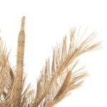 ΔΙΑΚΟΣΜΗΤΙΚΟ ΔΕΝΤΡΟ HM7871 RATTAN ΣΕ ΦΥΣΙΚΟ ΧΡΩΜΑ Φ110x180Yεκ. - Image 4