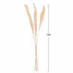 ΔΙΑΚΟΣΜΗΤΙΚΟ ΜΠΟΥΚΕΤΟ ΑΠΟΞΗΡΑΜΕΝΑ ΚΑΛΑΜΙΑ HM7961 ΛΕΥΚΟ 3TMX 140Υεκ. - Image 2