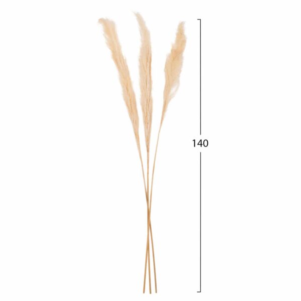 ΔΙΑΚΟΣΜΗΤΙΚΟ ΜΠΟΥΚΕΤΟ ΑΠΟΞΗΡΑΜΕΝΑ ΚΑΛΑΜΙΑ HM7961 ΛΕΥΚΟ 3TMX 140Υεκ. - Image 2