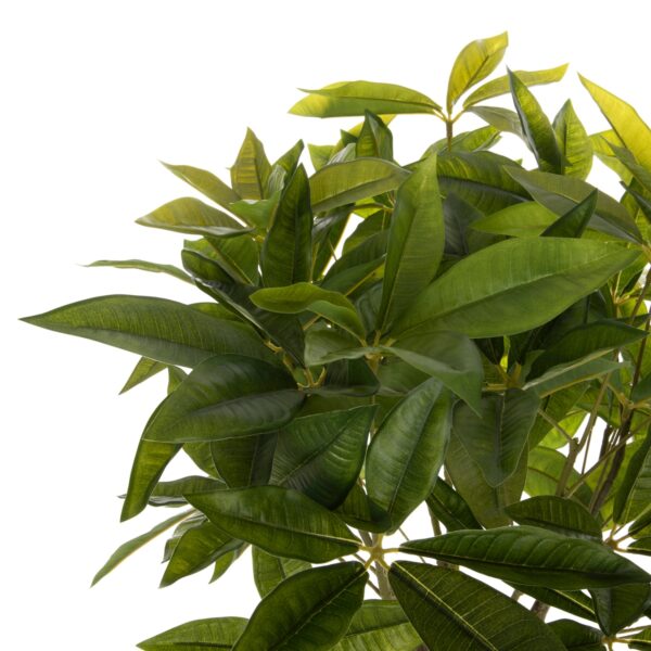 ΔΙΑΚΟΣΜΗΤΙΚΟ ΣΥΝΘΕΤΙΚΟ ΦΥΤΟ HM4001 ΠΑΧΥΡΑ (Η "ΛΕΦΤΟΔΕΝΤΡΟ") ΣΕ ΓΛΑΣΤΡΑ 116Υεκ. - Image 3