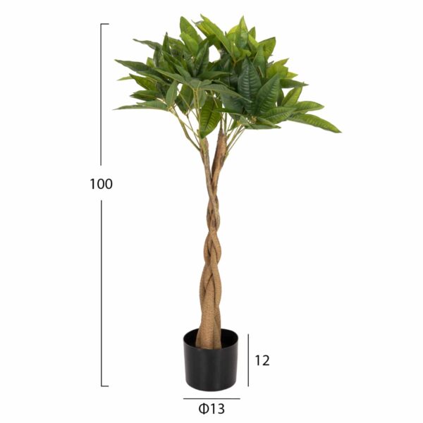 ΔΙΑΚΟΣΜΗΤΙΚΟ ΣΥΝΘΕΤΙΚΟ ΦΥΤΟ HM4002 ΠΑΧΥΡΑ ΣΕ ΓΛΑΣΤΡΑ 100Υεκ. - Image 2