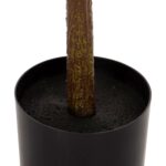 ΔΙΑΚΟΣΜΗΤΙΚΟ ΣΥΝΘΕΤΙΚΟ ΦΥΤΟ HM4019 ΛΕΜΟΝΙΑ ΣΕ ΓΛΑΣΤΡΑ Φ15x12,5-90Υεκ. - Image 5