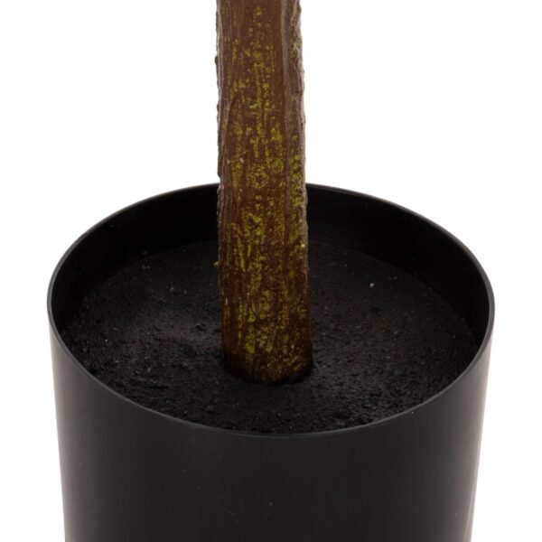 ΔΙΑΚΟΣΜΗΤΙΚΟ ΣΥΝΘΕΤΙΚΟ ΦΥΤΟ HM4019 ΛΕΜΟΝΙΑ ΣΕ ΓΛΑΣΤΡΑ Φ15x12,5-90Υεκ. - Image 5