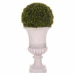 ΔΙΑΚΟΣΜΗΤΙΚΟ ΣΥΝΘΕΤΙΚΟ ΦΥΤΟ HM4023 ΠΥΞΑΡΙ ΣΕ ΑΜΦΟΡΕΑ ΜΑΓΝΗΣΙΟΥ 82Υεκ. - Image 3