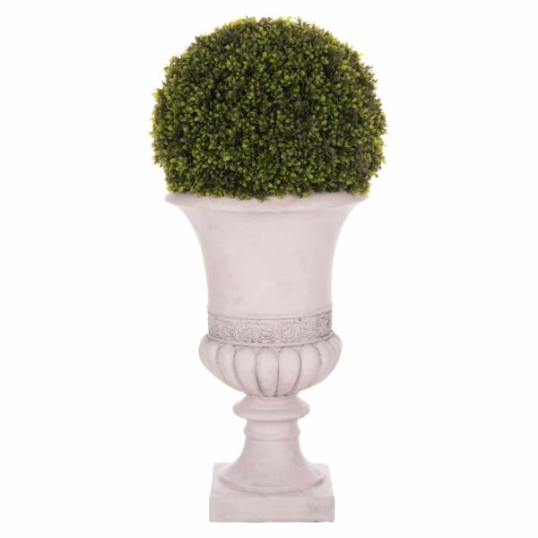 ΔΙΑΚΟΣΜΗΤΙΚΟ ΣΥΝΘΕΤΙΚΟ ΦΥΤΟ HM4023 ΠΥΞΑΡΙ ΣΕ ΑΜΦΟΡΕΑ ΜΑΓΝΗΣΙΟΥ 82Υεκ. - Image 3