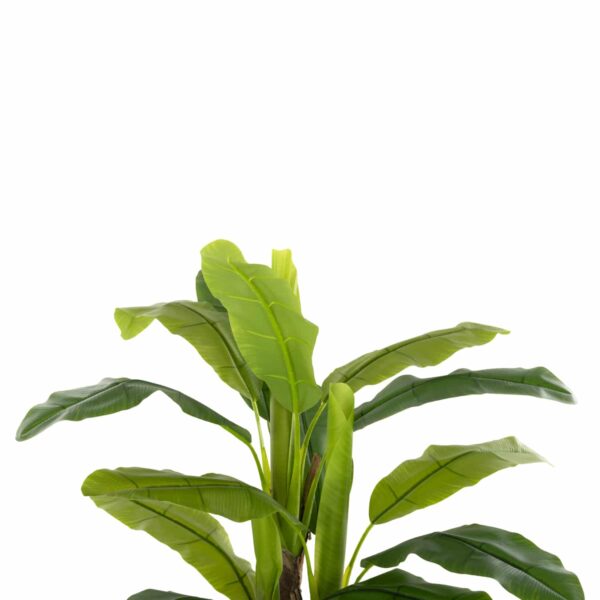 ΔΙΑΚΟΣΜΗΤΙΚΟ ΣΥΝΘΕΤΙΚΟ ΦΥΤΟ HM7968 ΔΕΝΤΡΟ ΜΠΑΝΑΝΑΣ ΣΕ ΓΛΑΣΤΡΑ 123Υεκ. - Image 3