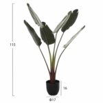 ΔΙΑΚΟΣΜΗΤΙΚΟ ΣΥΝΘΕΤΙΚΟ ΦΥΤΟ HM7969 ΣΤΡΕΛΙΤΣΙΑ ΜΕ ΓΛΑΣΤΡΑ 115Υεκ. - Image 2