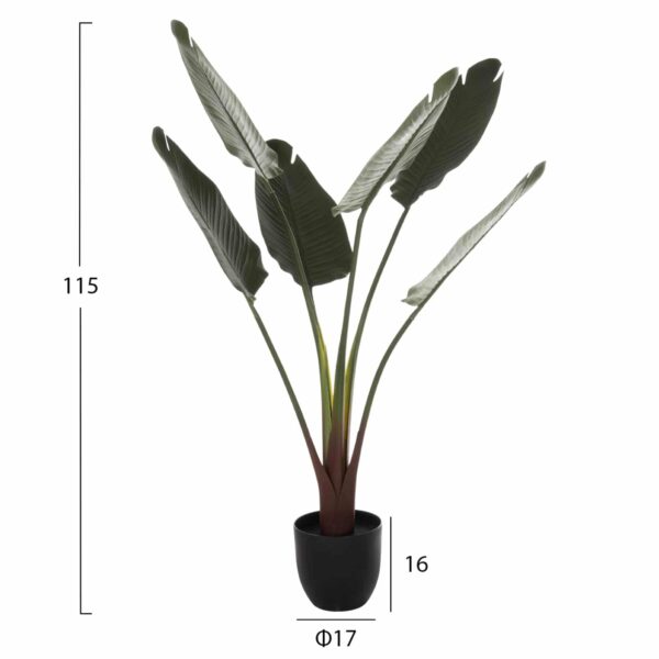 ΔΙΑΚΟΣΜΗΤΙΚΟ ΣΥΝΘΕΤΙΚΟ ΦΥΤΟ HM7969 ΣΤΡΕΛΙΤΣΙΑ ΜΕ ΓΛΑΣΤΡΑ 115Υεκ. - Image 2