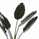 ΔΙΑΚΟΣΜΗΤΙΚΟ ΣΥΝΘΕΤΙΚΟ ΦΥΤΟ HM7969 ΣΤΡΕΛΙΤΣΙΑ ΜΕ ΓΛΑΣΤΡΑ 115Υεκ. - Image 4