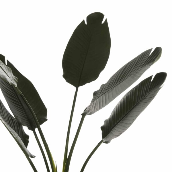 ΔΙΑΚΟΣΜΗΤΙΚΟ ΣΥΝΘΕΤΙΚΟ ΦΥΤΟ HM7969 ΣΤΡΕΛΙΤΣΙΑ ΜΕ ΓΛΑΣΤΡΑ 115Υεκ. - Image 4