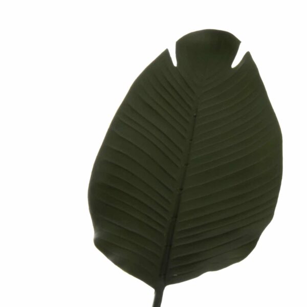 ΔΙΑΚΟΣΜΗΤΙΚΟ ΣΥΝΘΕΤΙΚΟ ΦΥΤΟ HM7969 ΣΤΡΕΛΙΤΣΙΑ ΜΕ ΓΛΑΣΤΡΑ 115Υεκ. - Image 5