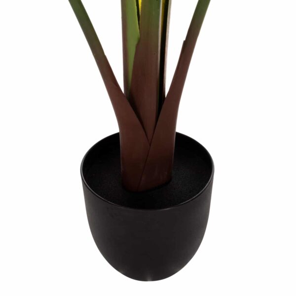 ΔΙΑΚΟΣΜΗΤΙΚΟ ΣΥΝΘΕΤΙΚΟ ΦΥΤΟ HM7969 ΣΤΡΕΛΙΤΣΙΑ ΜΕ ΓΛΑΣΤΡΑ 115Υεκ. - Image 6