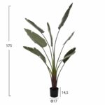 ΔΙΑΚΟΣΜΗΤΙΚΟ ΣΥΝΘΕΤΙΚΟ ΦΥΤΟ HM7980 ΣΤΡΕΛΙΤΣΙΑ ΣΕ ΓΛΑΣΤΡΑ Φ17x14,5-175Yεκ - Image 2