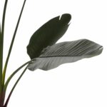 ΔΙΑΚΟΣΜΗΤΙΚΟ ΣΥΝΘΕΤΙΚΟ ΦΥΤΟ HM7980 ΣΤΡΕΛΙΤΣΙΑ ΣΕ ΓΛΑΣΤΡΑ Φ17x14,5-175Yεκ - Image 3