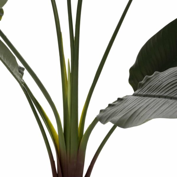 ΔΙΑΚΟΣΜΗΤΙΚΟ ΣΥΝΘΕΤΙΚΟ ΦΥΤΟ HM7980 ΣΤΡΕΛΙΤΣΙΑ ΣΕ ΓΛΑΣΤΡΑ Φ17x14,5-175Yεκ - Image 4