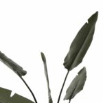 ΔΙΑΚΟΣΜΗΤΙΚΟ ΣΥΝΘΕΤΙΚΟ ΦΥΤΟ HM7980 ΣΤΡΕΛΙΤΣΙΑ ΣΕ ΓΛΑΣΤΡΑ Φ17x14,5-175Yεκ - Image 5