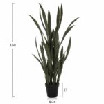 ΔΙΑΚΟΣΜΗΤΙΚΟ ΣΥΝΘΕΤΙΚΟ ΦΥΤΟ HM7994.02 ΣΑΝΣΕΒΙΕΡΙΑ ΠΡΑΣΙΝΟ ΜΕ ΓΛΑΣΤΡΑ 150Υεκ - Image 2