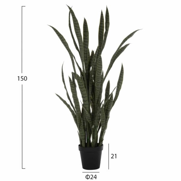 ΔΙΑΚΟΣΜΗΤΙΚΟ ΣΥΝΘΕΤΙΚΟ ΦΥΤΟ HM7994.02 ΣΑΝΣΕΒΙΕΡΙΑ ΠΡΑΣΙΝΟ ΜΕ ΓΛΑΣΤΡΑ 150Υεκ - Image 2