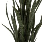 ΔΙΑΚΟΣΜΗΤΙΚΟ ΣΥΝΘΕΤΙΚΟ ΦΥΤΟ HM7994.02 ΣΑΝΣΕΒΙΕΡΙΑ ΠΡΑΣΙΝΟ ΜΕ ΓΛΑΣΤΡΑ 150Υεκ - Image 4