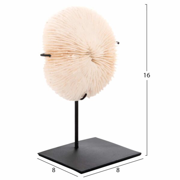 ΕΠΙΤΡΑΠΕΖΙΟ ΔΙΑΚΟΣΜΗΤΙΚΟ HM4273 ΚΟΡΑΛΙ ΣΕ ΦΥΣΙΚΟ-ΜΑΥΡΗ ΜΕΤΑΛΛΙΚΗ ΒΑΣΗ 8x8x16Υ εκ. - Image 2