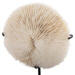 ΕΠΙΤΡΑΠΕΖΙΟ ΔΙΑΚΟΣΜΗΤΙΚΟ HM4273 ΚΟΡΑΛΙ ΣΕ ΦΥΣΙΚΟ-ΜΑΥΡΗ ΜΕΤΑΛΛΙΚΗ ΒΑΣΗ 8x8x16Υ εκ. - Image 3