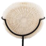 ΕΠΙΤΡΑΠΕΖΙΟ ΔΙΑΚΟΣΜΗΤΙΚΟ HM4273 ΚΟΡΑΛΙ ΣΕ ΦΥΣΙΚΟ-ΜΑΥΡΗ ΜΕΤΑΛΛΙΚΗ ΒΑΣΗ 8x8x16Υ εκ. - Image 4