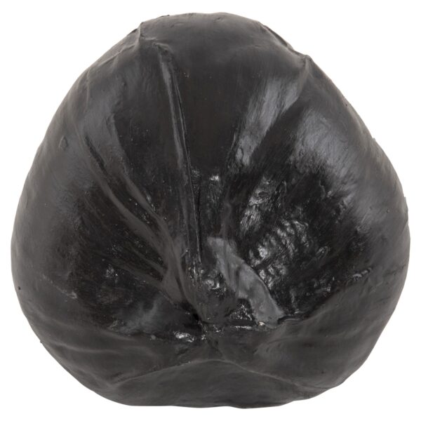 ΕΠΙΤΡΑΠΕΖΙΟ ΔΙΑΚΟΣΜΗΤΙΚΟ HM4326.02 ΚΑΡΥΔΑ ΣΕ ΜΑΥΡΟ ΧΡΩΜΑ 20x20x20Υεκ - Image 4