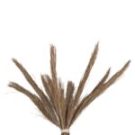 ΔΙΑΚΟΣΜΗΤΙΚΟ ΔΕΝΤΡΟ TROPIC HM4324 τ.ΦΟΙΝΙΚΑ ΑΠΟ MENDONG GRASS 280Yεκ. - Image 4