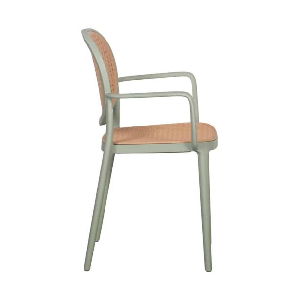 RATTI/P ΚΑΡΕΚΛΑ ΜΕΝΤΑ ΦΥΣΙΚΟ 57x51x84 27-0222 - Image 2