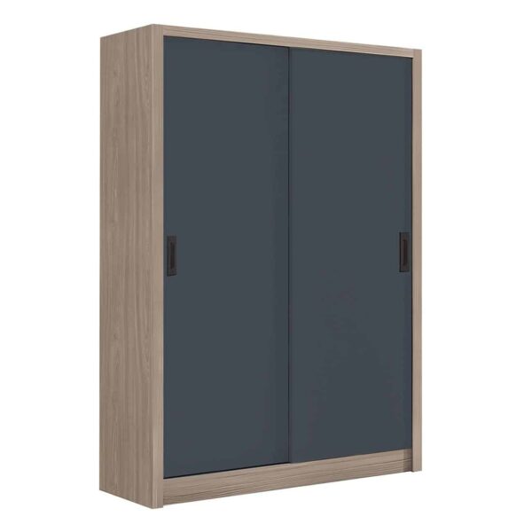 VANITY Ντουλάπα Δίφυλλη - Συρόμενη, Αποχρώσεων Sonoma Oak & Grey 120x60x200cm - Image 2