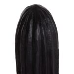 ΔΙΑΚΟΣΜΗΤΙΚΟΣ ΚΑΚΤΟΣ ΔΑΠΕΔΟΥ CACTUS HM4386.01L ΓΥΨΟΣ ΣΕ ΜΑΥΡΟ 63x37x150Υεκ. - Image 5