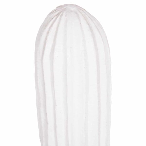 ΔΙΑΚΟΣΜΗΤΙΚΟΣ ΚΑΚΤΟΣ ΔΑΠΕΔΟΥ CACTUS HM4386.02L ΓΥΨΟΣ ΣΕ ΛΕΥΚΟ 63x37x150Υεκ. - Image 4