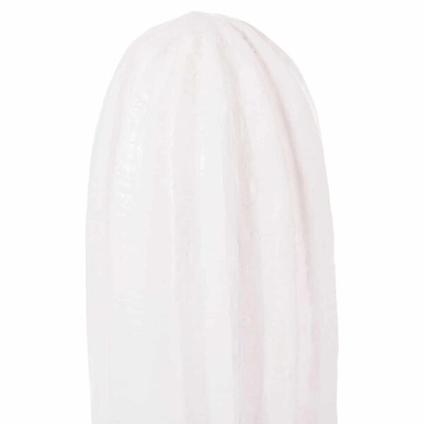 ΔΙΑΚΟΣΜΗΤΙΚΟΣ ΚΑΚΤΟΣ ΔΑΠΕΔΟΥ CACTUS HM4386.02S ΓΥΨΟΣ ΣΕ ΛΕΥΚΟ 42x30x74Υεκ - Image 5