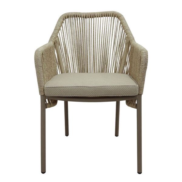 CELIA ΚΑΡΕΚΛΑ ΦΥΣΙΚΟ CHAMPAGNE 56x67x80 53-0001 - Image 3