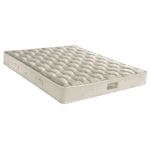 EN56 Aloe Vera Foam 900/250