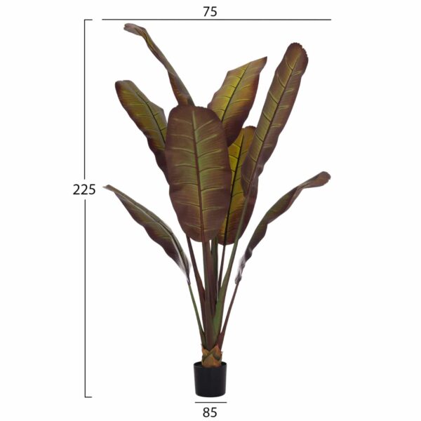 ΔΙΑΚΟΣΜΗΤΙΚΟ ΣΥΝΘΕΤΙΚΟ ΦΥΤΟ HM4740 ΙΑΠΩΝΙΚΗ ΜΠΑΝΑΝΑ ΣΕ ΓΛΑΣΤΡΑ 85x75x225Υεκ. - Image 2