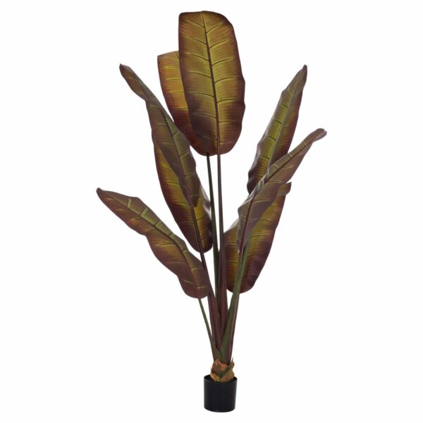 ΔΙΑΚΟΣΜΗΤΙΚΟ ΣΥΝΘΕΤΙΚΟ ΦΥΤΟ HM4740 ΙΑΠΩΝΙΚΗ ΜΠΑΝΑΝΑ ΣΕ ΓΛΑΣΤΡΑ 85x75x225Υεκ. - Image 3