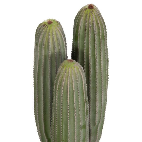 ΔΙΑΚΟΣΜΗΤΙΚΟ ΣΥΝΘΕΤΙΚΟ ΦΥΤΟ HM4743 ΚΑΚΤΟΣ ΜΕ ΓΛΑΣΤΡΑ Φ16x62Υεκ. - Image 3