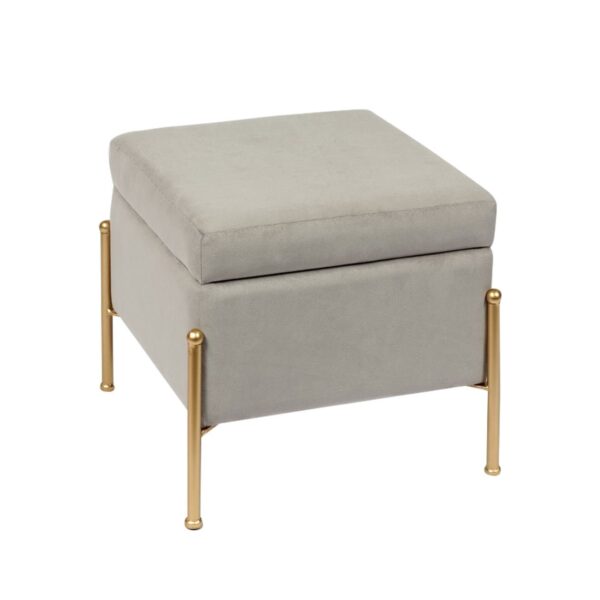 RAY Αποθηκευτικό Σκαμπό, Μέταλλο Βαφή Χρυσό, Ύφασμα Velure, Απόχρωση Γκρι 40x40x37cm - Image 5