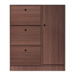 Παπουτσοθήκη Απόχρωση Καρυδί 100x24x112cm - Image 3