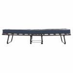 ΚΡΕΒΑΤΙ-ΡΑΝΤΖΟ ΙΤΑΛΙΑΣ NOBLE HM393.02 ΜΕΤΑΛΛΙΚΟ ΜΕ ΡΟΔΕΣ & ΣΤΡΩΜΑ 9εκ ΓΚΡΙ 80x182x37.5Υεκ. - Image 4