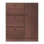 Παπουτσοθήκη Απόχρωση Καρυδί 100x24x112cm - Image 6