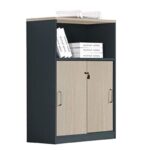 PROGRESS Ντουλάπι Γραφείου με Ράφι, Δίφυλλο Συρόμενες Πόρτες 2 Ράφια,Απόχρωση Elm-Sky Grey 80x40x120cm - Image 5