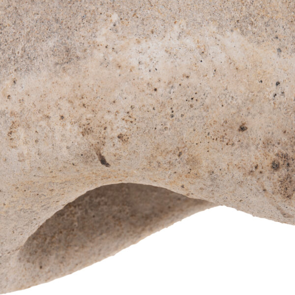 ΦΩΤΙΣΤΙΚΟ ΟΡΟΦΗΣ ΜΕ ΟΨΗ ΠΕΤΡΑΣ STONER (S) HM4417 ΣΚΟΥΡΟ ΜΠΕΖ 37x30x45Υεκ. - Image 6